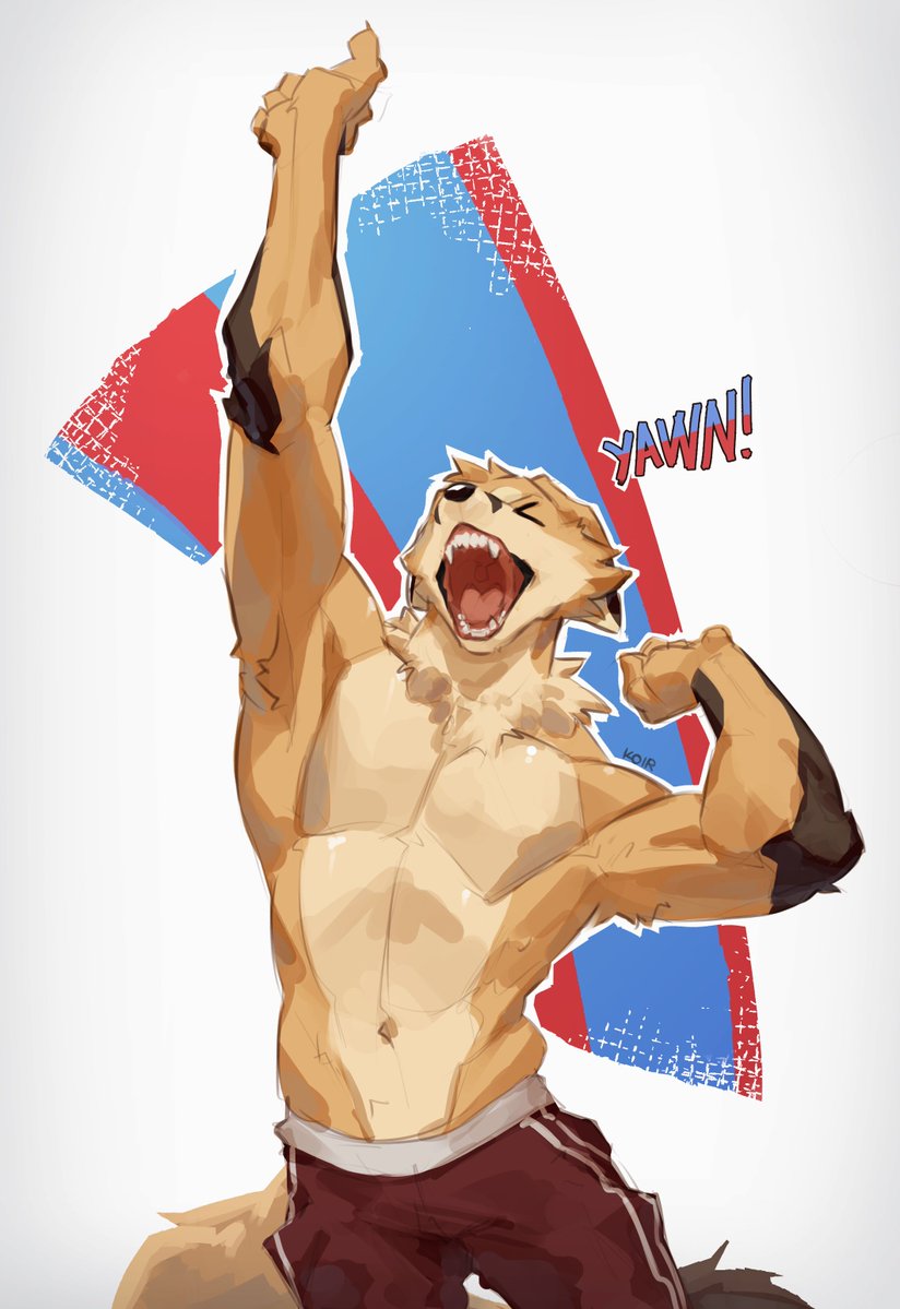 KoirJagouu's tweet photo. 🦊🦊🦊 https://t.co/YsEDSjnTqN
