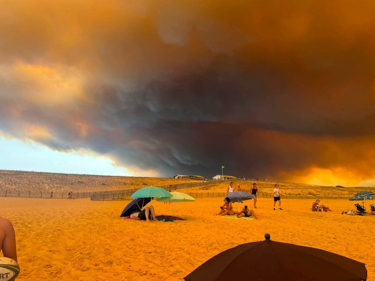asso_psfdf's tweet photo. 🔥 Situation très compliquée cet après-midi en Gironde, où l'incendie redouble d'intensité

🌳 12 500 hectares ont été parcourus par les flammes

🏘️ Plus de 44 000 personnes ont été évacuées

🚒 1 000 soldats du feu sont pleinement mobilisés pour tenter de contenir la progression de l'incendie et protéger les zones habitées

⚠️ La situation reste très évolutive. Respectez strictement les consignes des autorités et évitez le secteur
__

📸 Corinne Gav

🚫Évitez le secteur
🚒Facilitez l'accès aux secours

#incendie #FeuxDeForêt