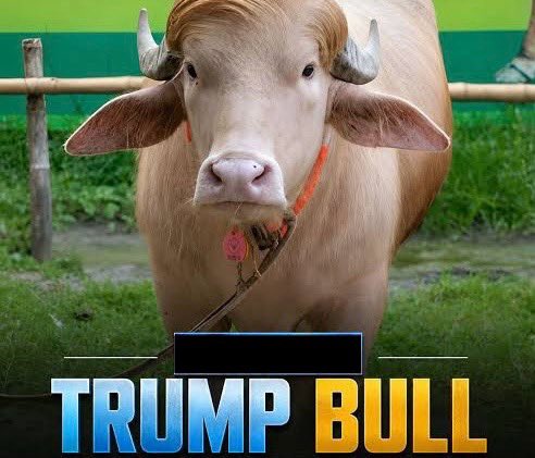 TradeFlowCharts's tweet photo. @EbrahimSiraj Trump took this seriously.. 😑 https://t.co/bUGgIwEH4k