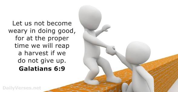 soolaleye's tweet photo. You Need More Of The HolySpirit (2)
Holy Spirit gives us wisdom beyond our knowledge, power beyond our strength &amp; gifting beyond our ability. With His help, we become better than our best effort &amp; better than our best thought. We become the best version of ourselves possible #UCB https://t.co/uXxyrWkWsv
