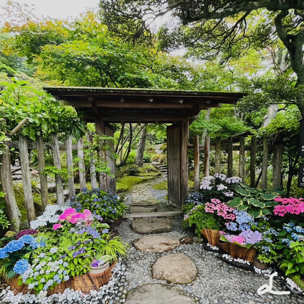 aleyamashu's tweet photo. 外で気分転換……と思ったら、泣きわめくこども、独り言を言いながら割り込みしてくる女性……
と、過敏になった聴覚にとてもしんどかった。
音が刺さってくる！って感じになってね……きつかったです。 https://t.co/VgtwnqslQk