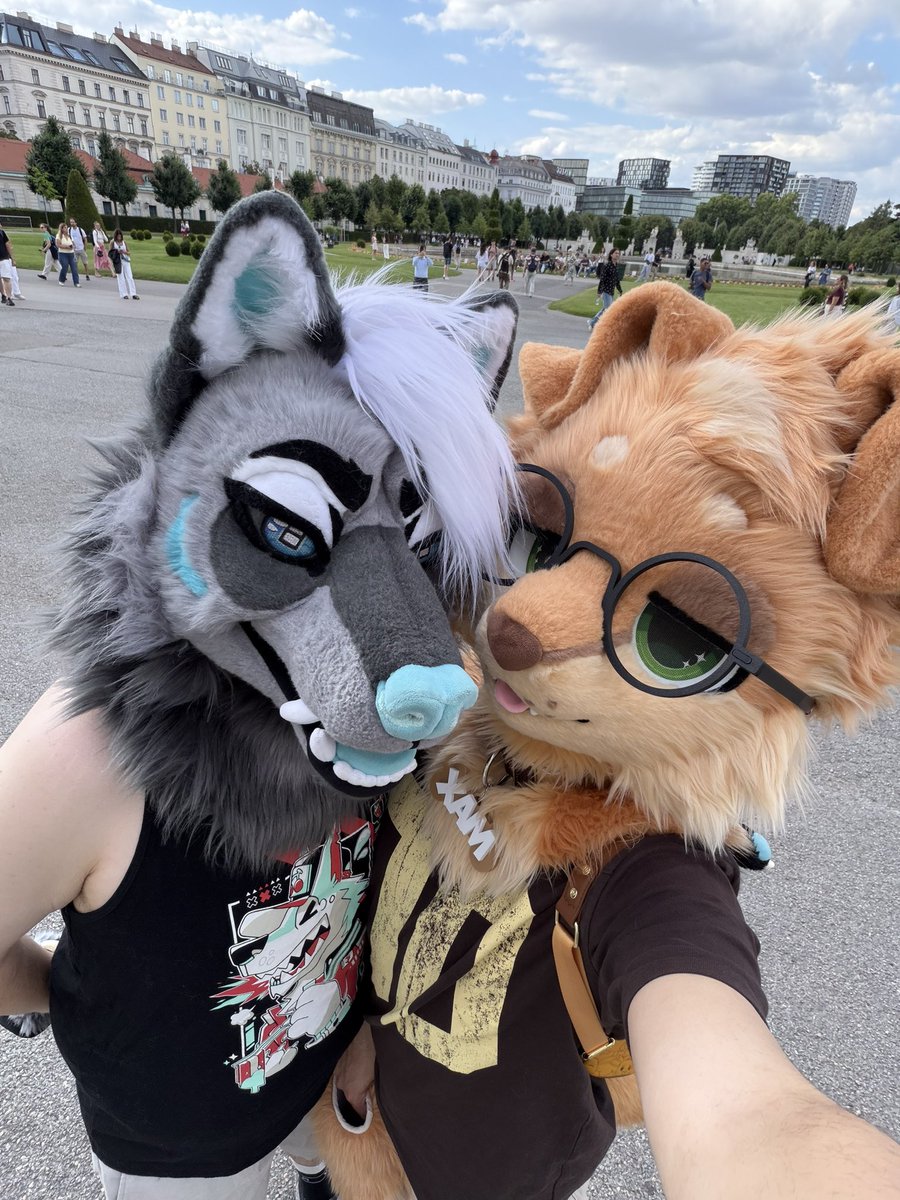 MaxFluffys's tweet photo. Public dogs, you cannot take them home https://t.co/8QWduCU8W0
