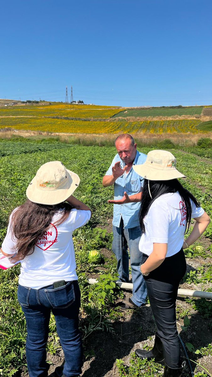 tarim_ibb's tweet photo. Çiftçilerimize dağıttığımız sebze fidelerinin arazide gelişimini kontrol etmeye devam ediyoruz. 🌱
📍Sarıyer
📍Büyükçekmece
📍Arnavutköy https://t.co/cJd7Twf0Mh