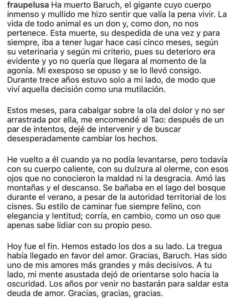 FrauPelusa's tweet photo. Murió hoy Baruch, mi bendición y mi luz amorosa durante tantos años. Sus sábanas han sido el inmenso sudario donde hemos envuelto su cuerpo. Estará en mi corazón y en cada flor que florezca en la tierra que hoy lo recibe. https://t.co/2Jk6Z8Nmpn