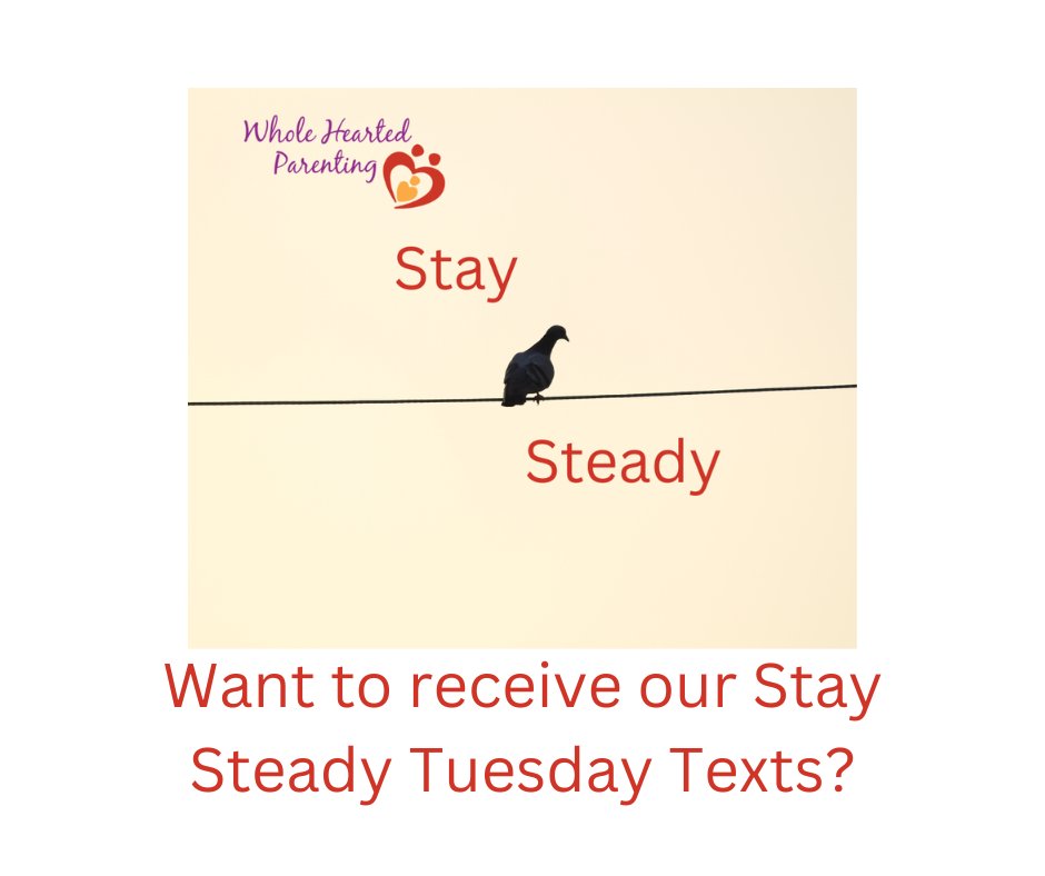 ParentingUpDate's tweet photo. If you would like to receive our weekly Stay Steady Tuesday text, please email me your name and phone number at Maggie@WholeHeartedParenting.com.  Staying steady is the antidote to the volatility in the world right now.  [Your contact information is private and is not shared] https://t.co/g4qnXB9yTo