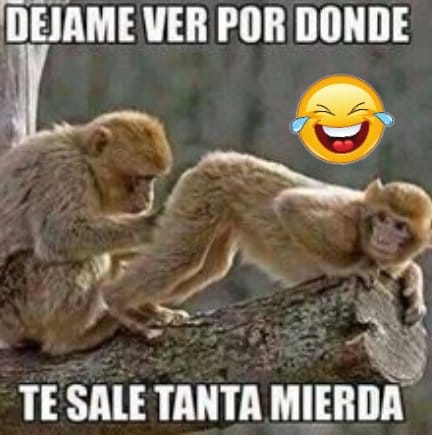 KevinDe16888685's tweet photo. @IreneMontero Ya den le  su mamila al nene que ya anda con su berrinche la pendeja está que no selebe ayudando ala pelotuda está para que se ande kejando la pendeja nada más anda de payasa como siempre asiendo el ridiculo alo grande https://t.co/91GZmfHgUd