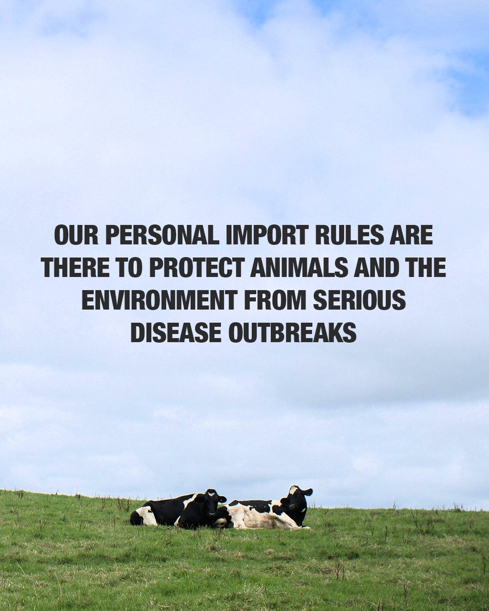 DefraGovUK's tweet photo. The World Cup isn’t coming home - and banned meat and dairy products from the EU shouldn’t either.
 
Just one contaminated product could spread animal disease on our farms, and lead to a fine at the border.
 
Check before you pack: https://t.co/bs8TMreZR0 https://t.co/pQT7FjZQKJ