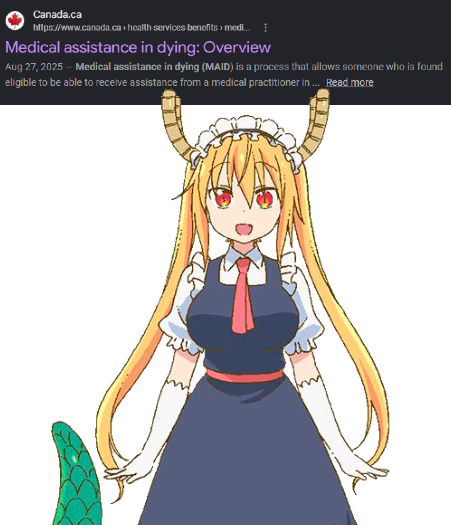 HidamariSneed's tweet photo. MAID used to mean a woman in a frilled dress https://t.co/K0tlKSC7db