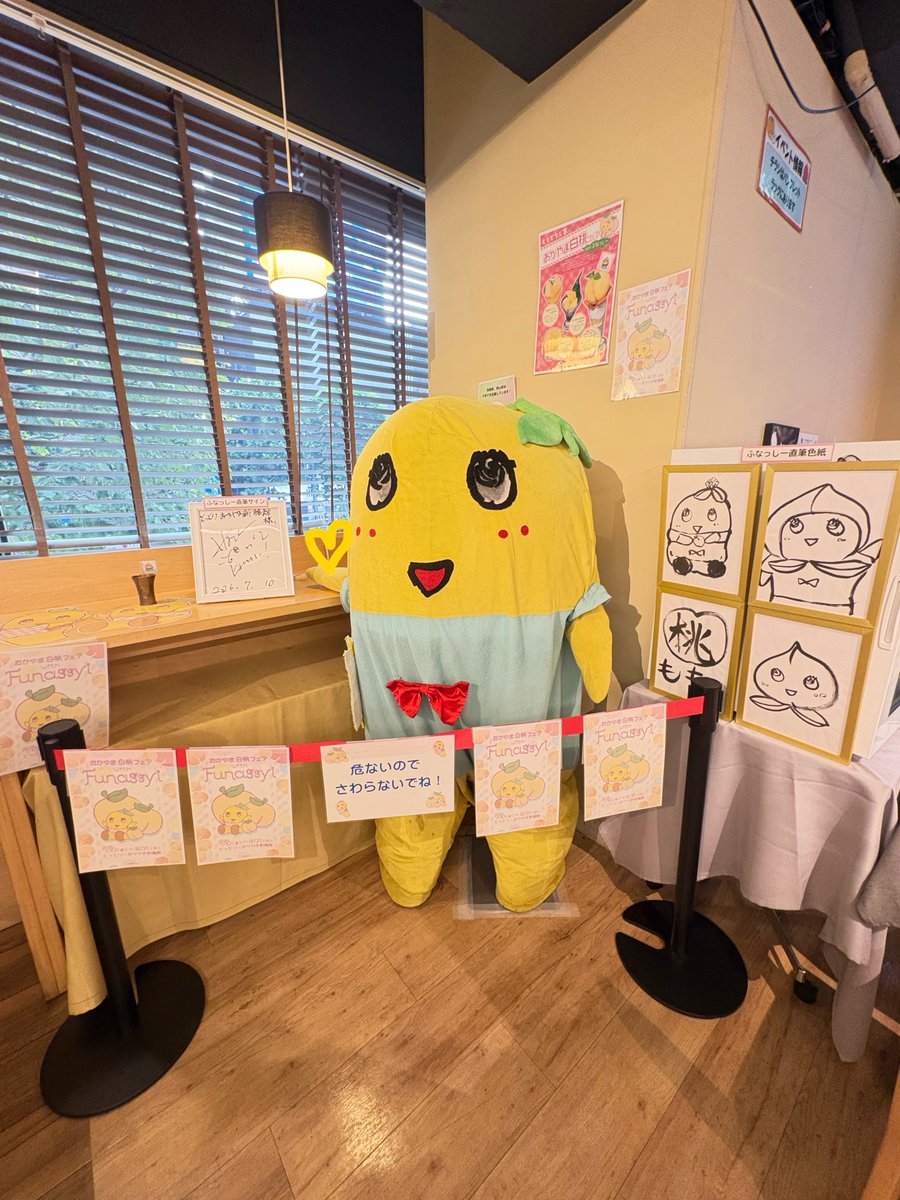 にゃーこ(まー)💙 tweet media