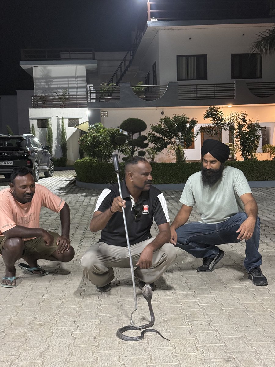Kkhaira96's tweet photo. अपने आवास पर सर्प रक्षक मुख्तार अली जी को बुलवाकर ब्लैक कोबरा जंगल में भिजवाया।
#blackcobra https://t.co/1Wnia3Ytmm