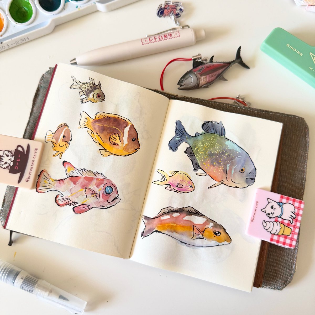 sammysavos's tweet photo. painting fish and sea lions from the aquarium 🐟 https://t.co/MU7xTwJMeZ