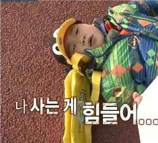 쏭 tweet media