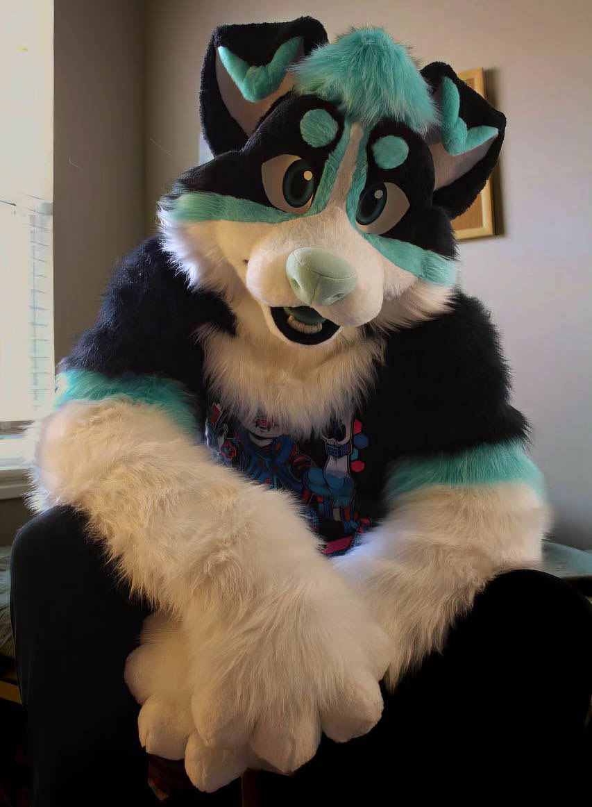 SyberCollie tweet picture