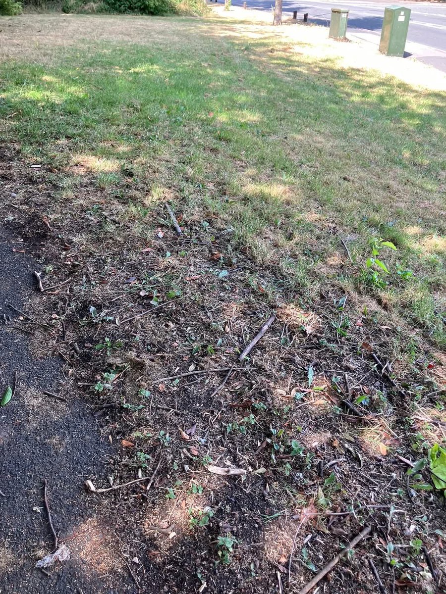 Litterwatch1's tweet photo. Absolute legend Matt Litter clearing two full bags of rubbish from the grass by the piano bridge off Bloomfield Road! Such a relief—kids can finally play there safely again without dodging dangerous junk. Huge thank you for looking out for our local spot! #volunteers #sandwell https://t.co/7bIkQupfl7