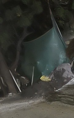 chessdunk's tweet photo. @chennaicorp @CMOTamilnadu 2026-808YIM The dumping has NOT been cleared, and fresh construction debris still there on platforms.  Cement dumped around tree is damaging root systems, creating a severe danger of trees falling. Requesting urgent physical clearance and root de-cementing @GCC_Commissioner https://t.co/JL1J4jdWL5