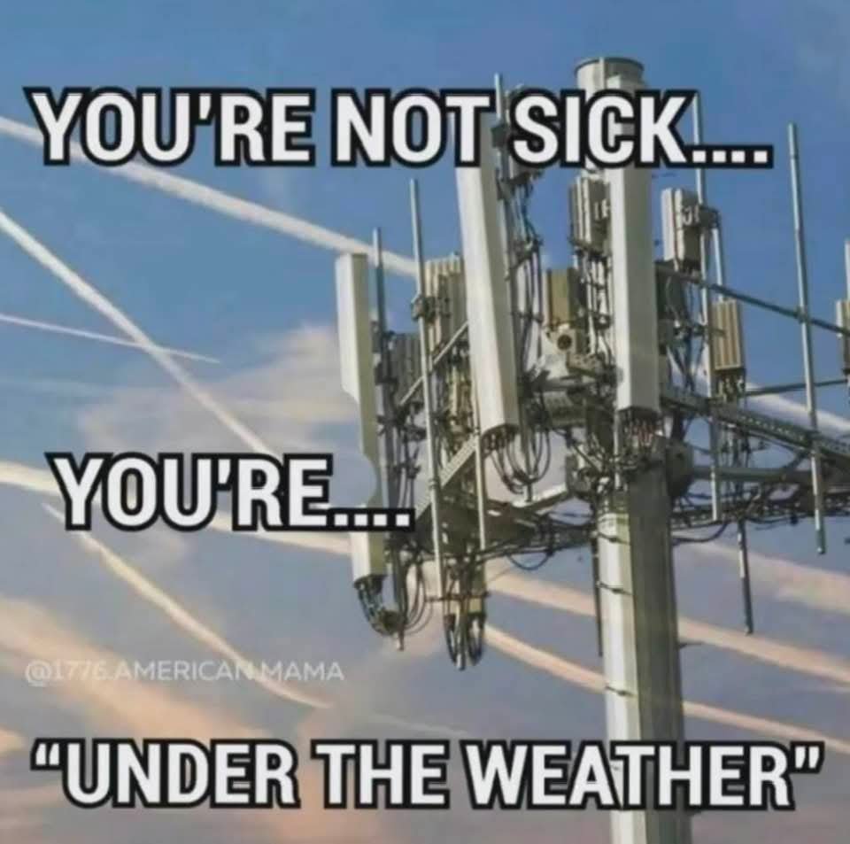 NICKBAZINE58571's tweet photo. Glyphosate in our forests. Biometrics at our borders. Data centers on our lands. Zionists in our government. Flock cameras in our streets. Aluminum oxide in our skies.
Question any of it &amp; you're an "anti-semite," "conspiracy theorist," or an "extremist."
Move along, citizen. 😶‍🌫️ https://t.co/jvi8WLrdpA
