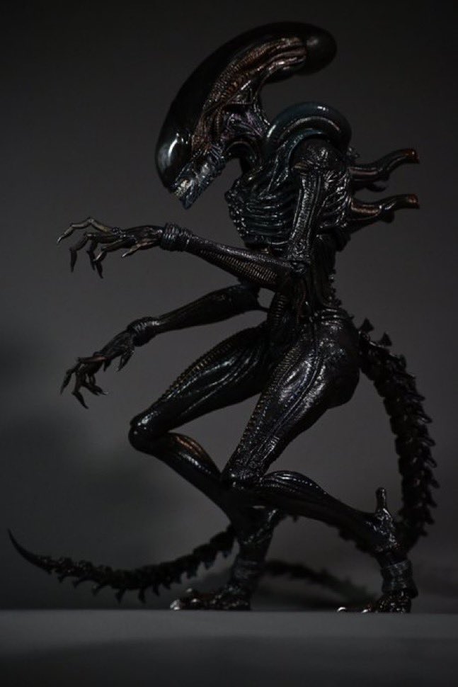 6Scale_isemaru's tweet photo. 自分のベスト写真
#INART #hottoys #ホットトイズ #フィギュア https://t.co/HGWtZoJGbA