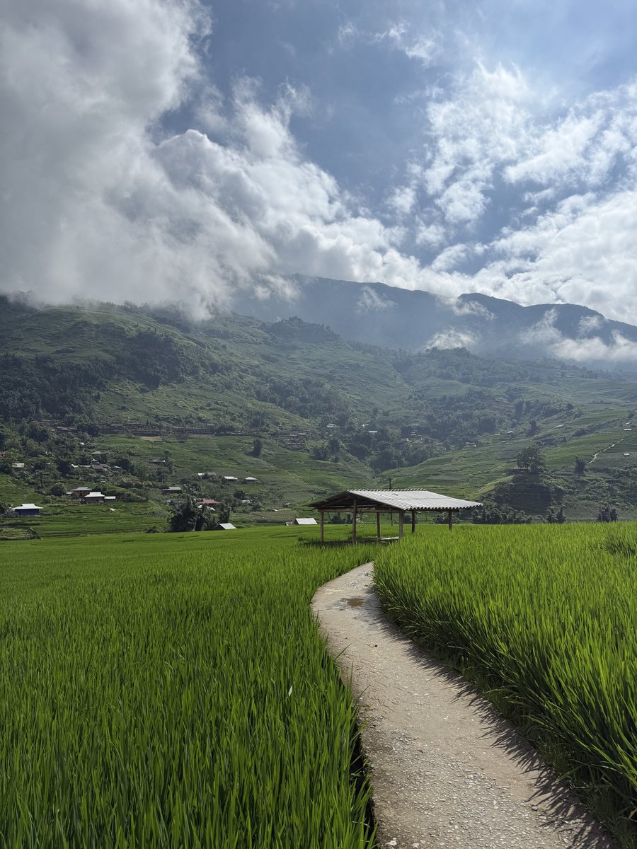 anoudiful's tweet photo. Imagine touching grass here https://t.co/WIQLkeMPJR