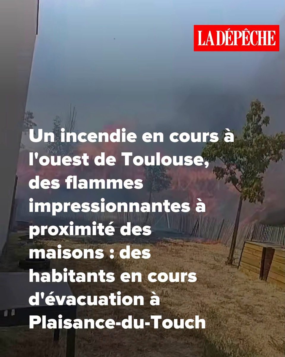 ✨Megann✨🇫🇷 tweet media