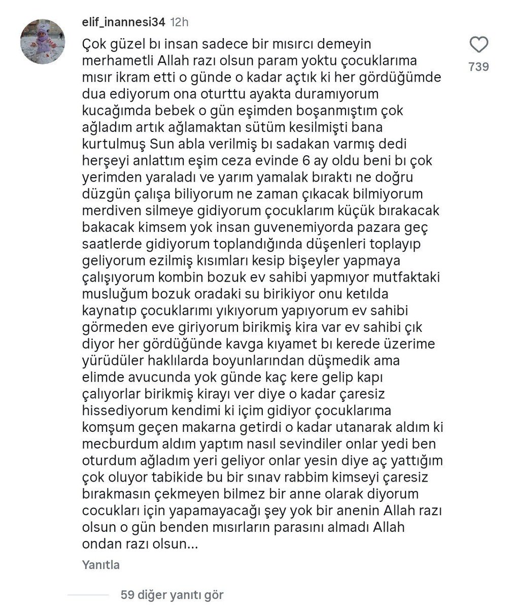 fofik tweet media