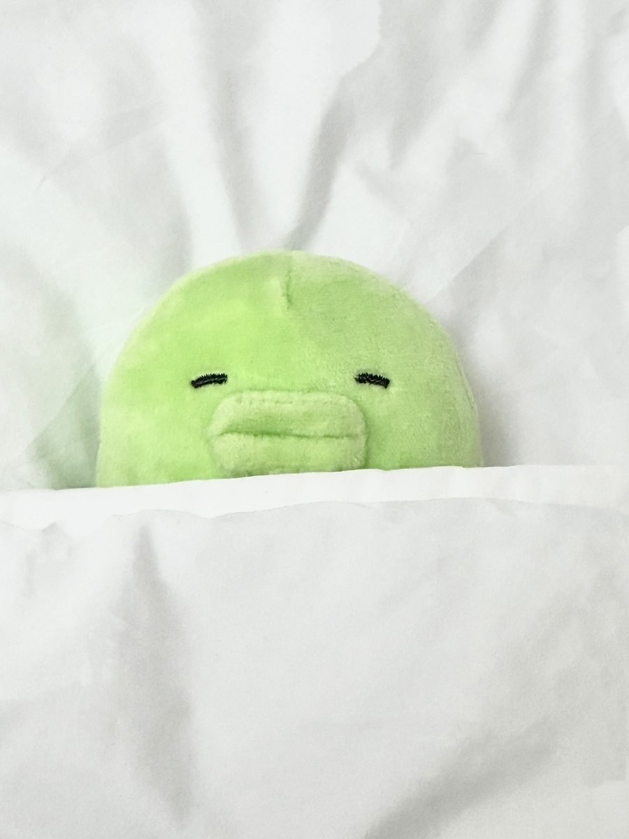 완똥이 tweet media