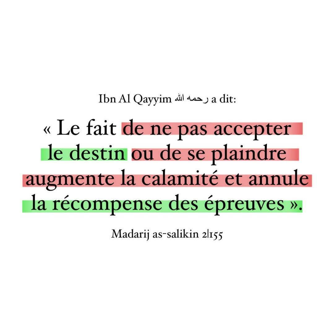 moussa_tawhid's tweet photo. À méditer...... https://t.co/L4ntDWo9b1