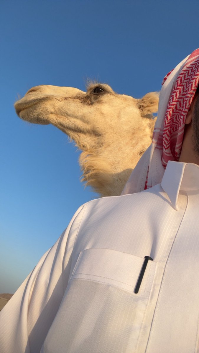 _ot52's tweet photo. شفوف بدوٍ ماتفكر في علوم الاقتصاد
مافيه شي غير حب البل يتل قلوبها https://t.co/fBk7xp85aX
