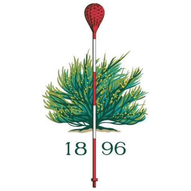 scogolfs tweet media