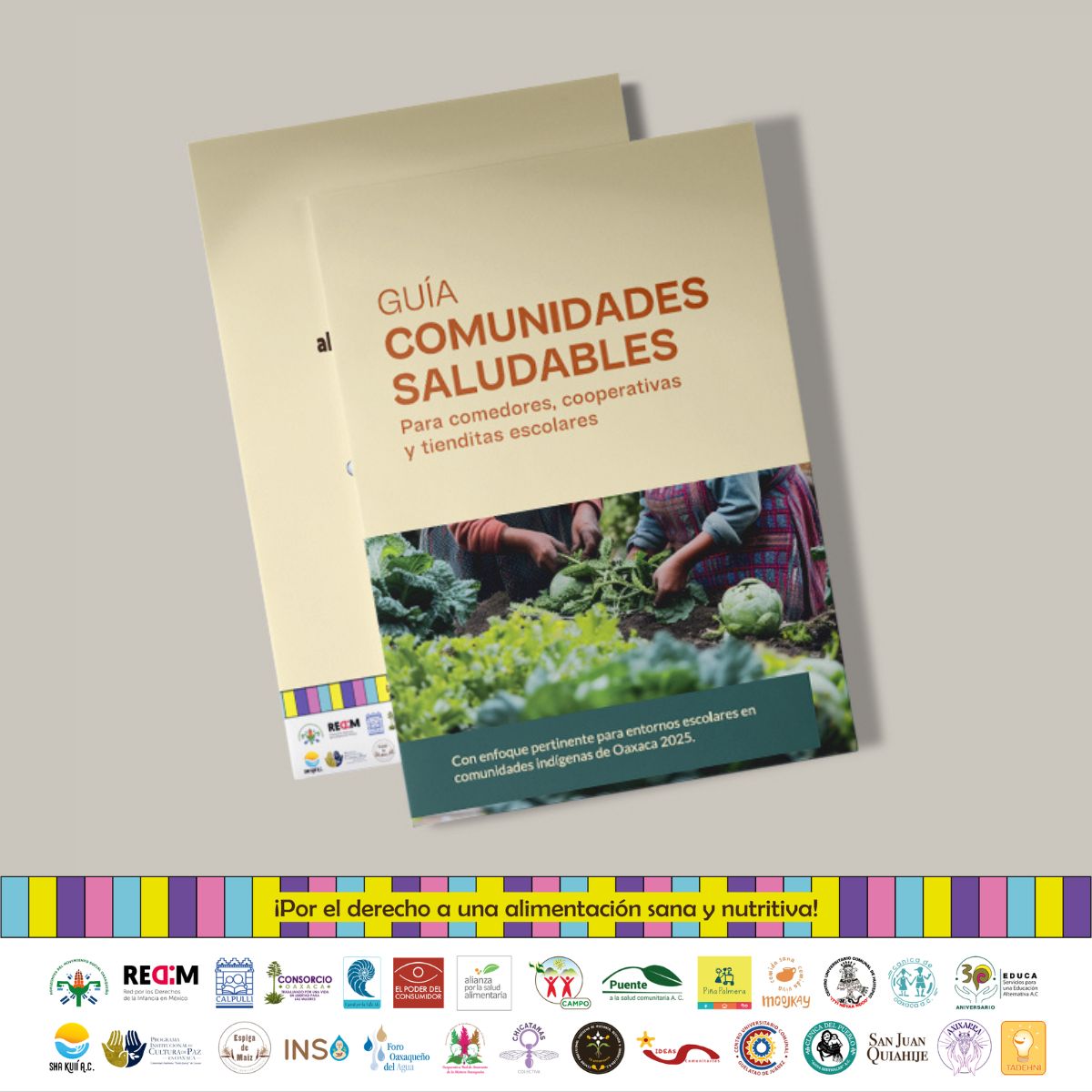 EspiralAC's tweet photo. Te invitamos a que puedas ver y descargar nuestra guía de “Comunidades Saludables”📘🧺🌱

👉🏻Descarga aquí:
https://t.co/OiJJNNUVUD

#alimentos #alimentossaludables #alimentosnaturales #niñecesfelices #comidamexicana #GuiasAlimentarias #Recetas #OaxacaSinChatarra https://t.co/TH9t86xY2S