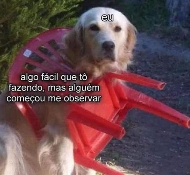 shitpostverdade's tweet photo. https://t.co/QyRDR7nu2B