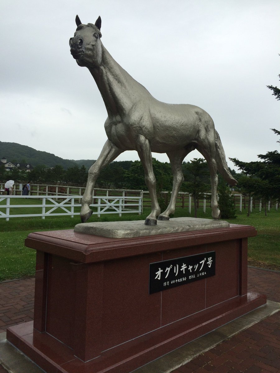 midemu's tweet photo. 先日のプロジェクトXの再放送をまた観てしまった。オグリキャップみたいな上司がいいな。なんてぼんやり考えてた。ちょうど10年前の7月に訪れた新冠の優駿記念館。 https://t.co/CHF5I6oPRl