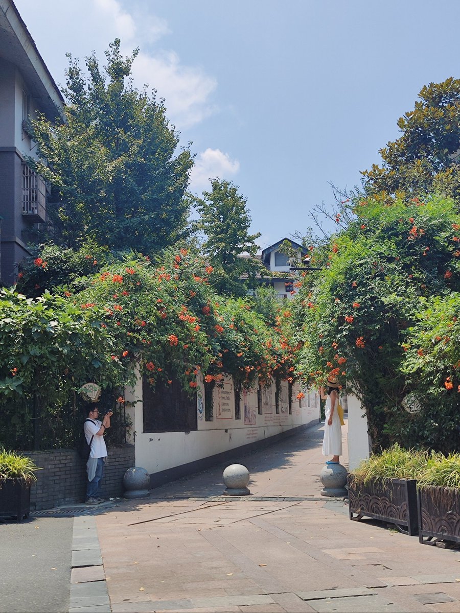 LongmanPen76475's tweet photo. Lunch break vibes = vibrant street corners, unexpected small joys, and that perfect golden light filtering through the buildings. https://t.co/0RsL2fcmNg