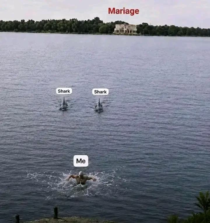 ItsJBke's tweet photo. What's the funniest label you'd give the two sharks? 😂👇 https://t.co/9JLY4aKmmg