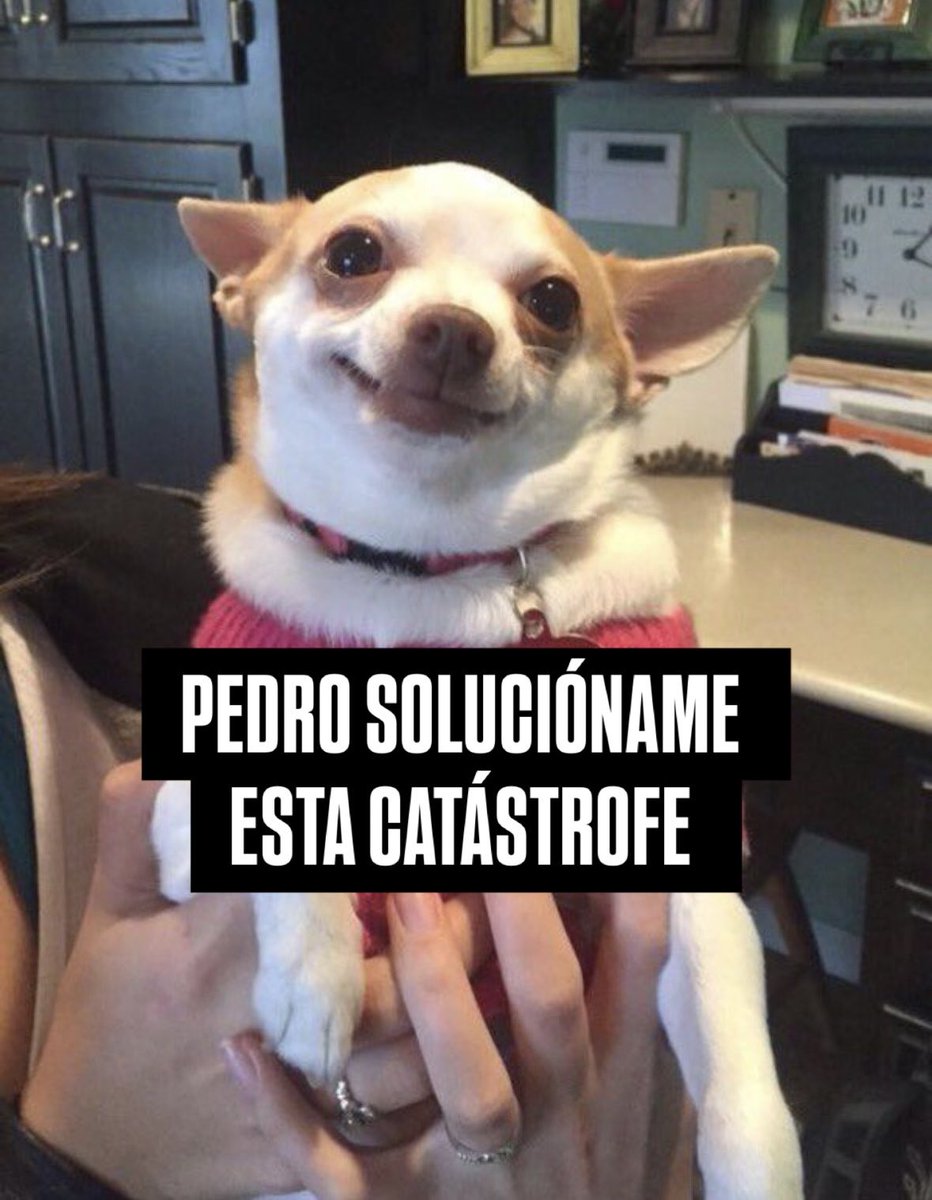 Ramón López 🏳️🌈🔻 tweet media