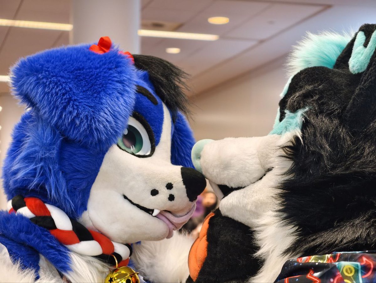 SyberCollie tweet picture