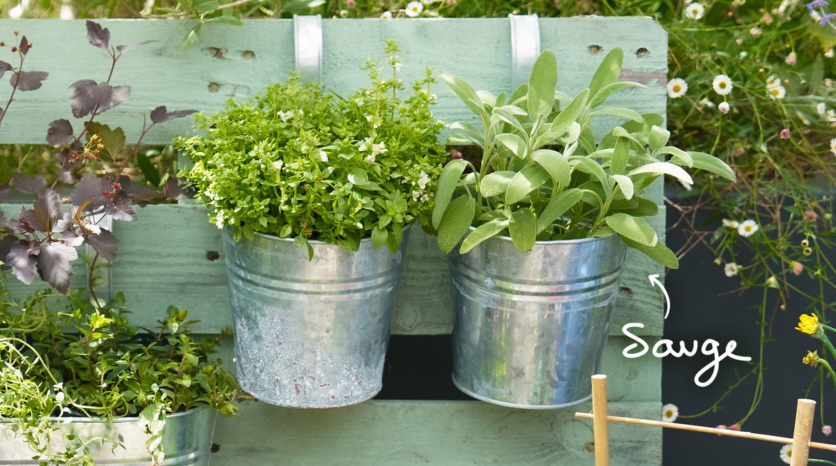 Truffaut's tweet photo. Construisez votre bar à aromatiques maison 🌿​
Découvrez notre sélection d'aromatiques en magasins et sur notre site ☀️ https://t.co/XdYJXRFxN9