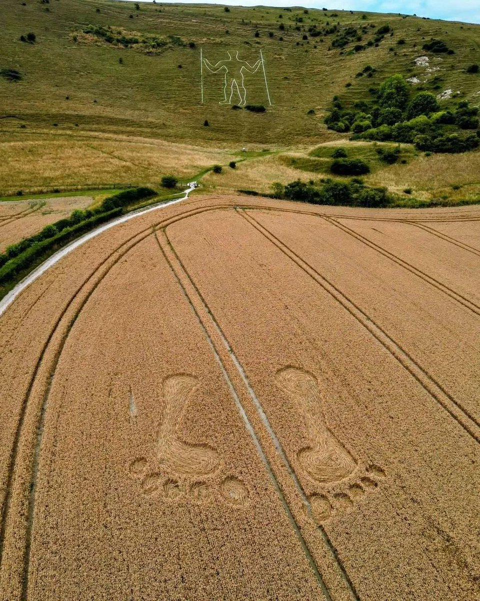 zzzyzzyva's tweet photo. 1. Cerne Abbas Theory update: Let's look at the Long Man of Wilmington Crop Circles. A pair of feet and a 'splat'. Formed on 24th July 2025. Do these feet relate in some way to the feast day, I wonder? 🧵👇 https://t.co/7fOz83kn73