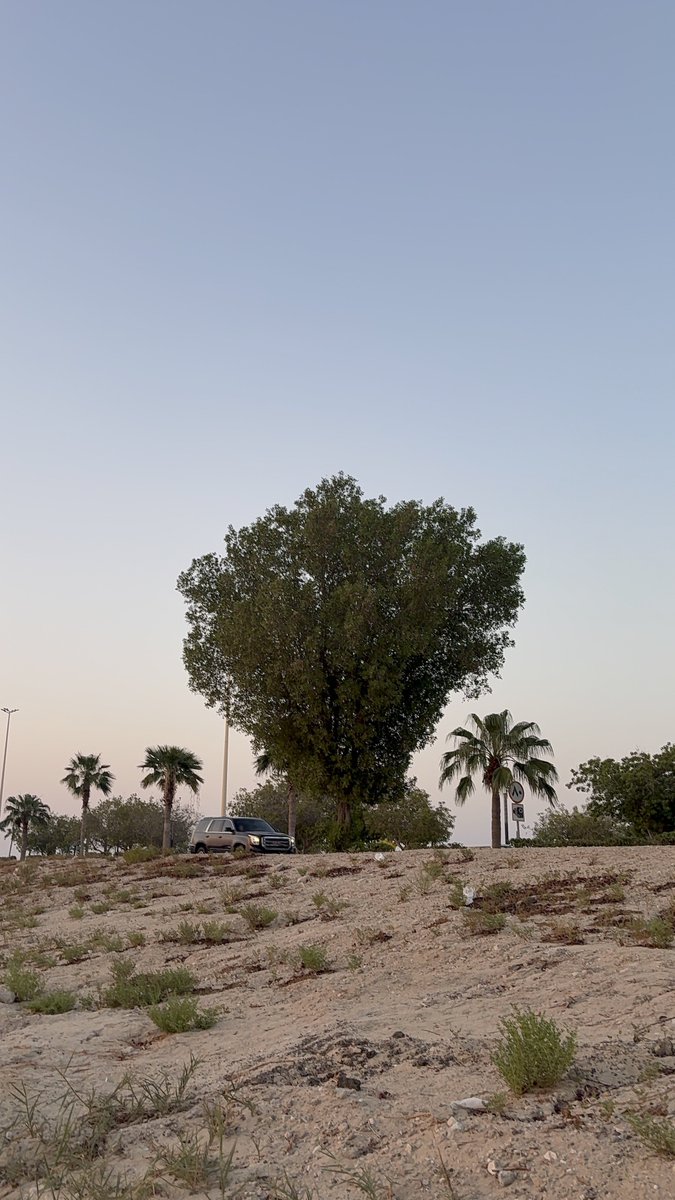 a6iea's tweet photo. التقاطات اليوم 🤍 https://t.co/ZvlTx353IS