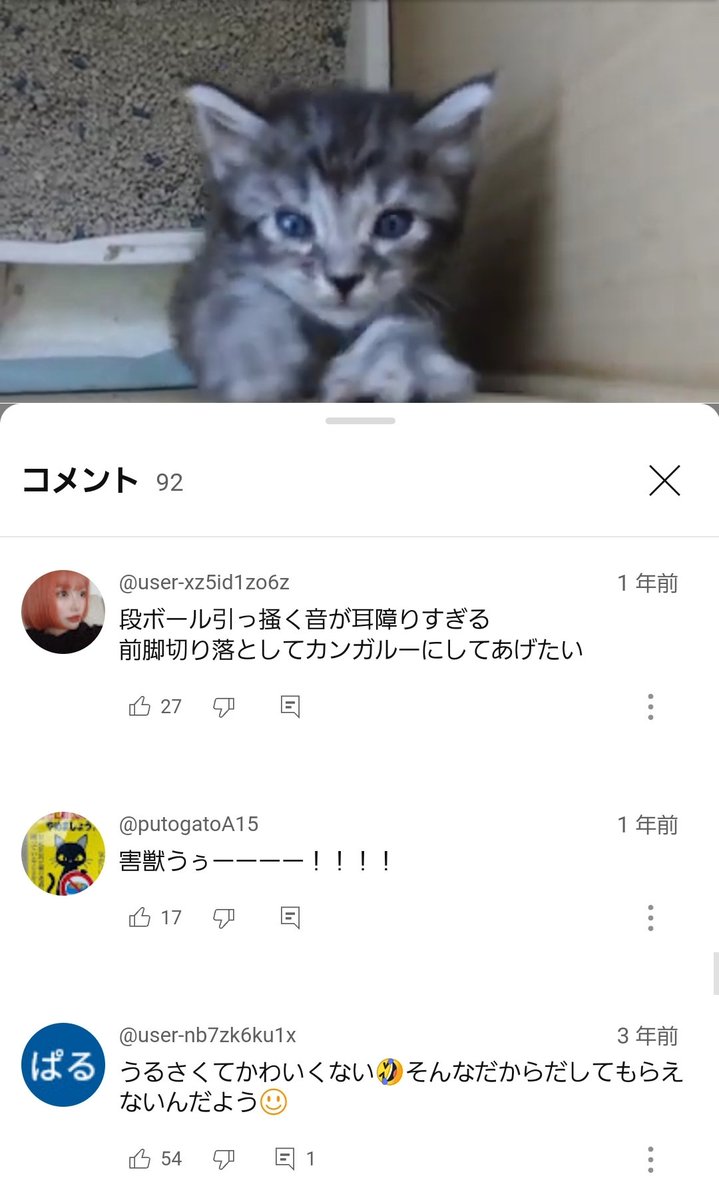 Sungeesaraun's tweet photo. @HaruHaru_pts これ室内飼育の猫動画についてたコメントです���
虐待問題が拗れやすいのはこういう奴らが原因でもあると思うんですよ。 https://t.co/y9MbrNiE7S