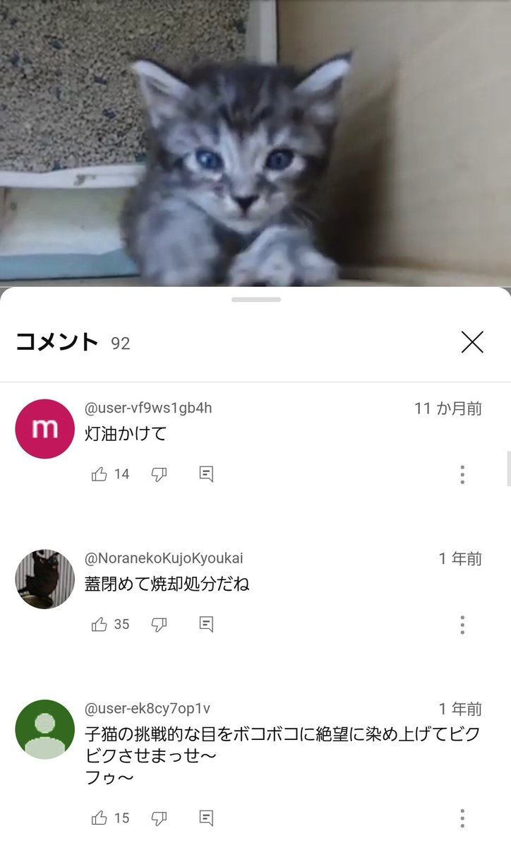 Sungeesaraun's tweet photo. @HaruHaru_pts これ室内飼育の猫動画についてたコメントです���
虐待問題が拗れやすいのはこういう奴らが原因でもあると思うんですよ。 https://t.co/y9MbrNiE7S