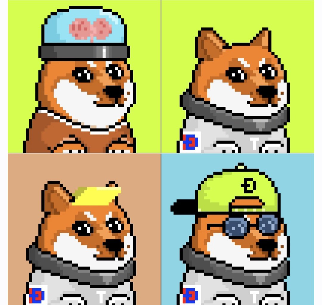 HBKSailor's tweet photo. @dogecoin Best pfp for dogs fam! @Muchwowd 🔥🐕 https://t.co/W6Shrnw1dV