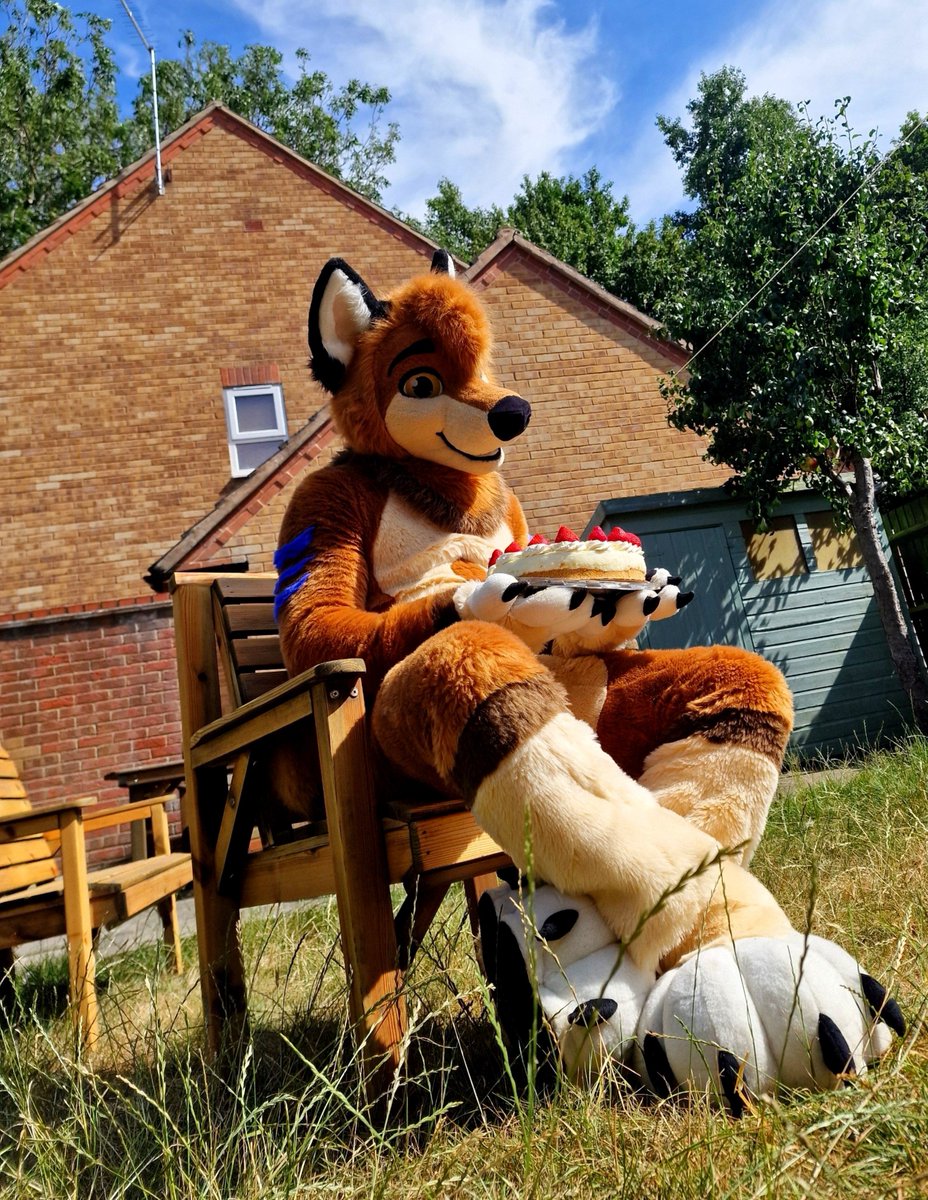 Tibble the Fox 🔜 EF30 tweet media