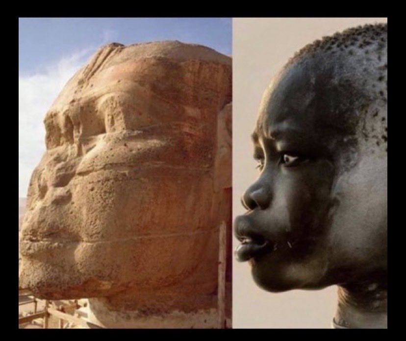 shmss3's tweet photo. @Dodymente @loolita_0 @iiox7r الفراعنة سود البشرة  أما المصريين إلان هم خليط من جميع الأمم اللي استعمرت مصر  
وكذالك الأمازيغ بالأصل سود دول شمال أفريقيا بسبب الهجرة من آسيا إلى اوربا اختلطت جيناتهم مع  القارتين  أفريقيا  كلهم سود هم  ابناء حام بن نوح  اسود البشر ة https://t.co/MvnPTCsqLa
