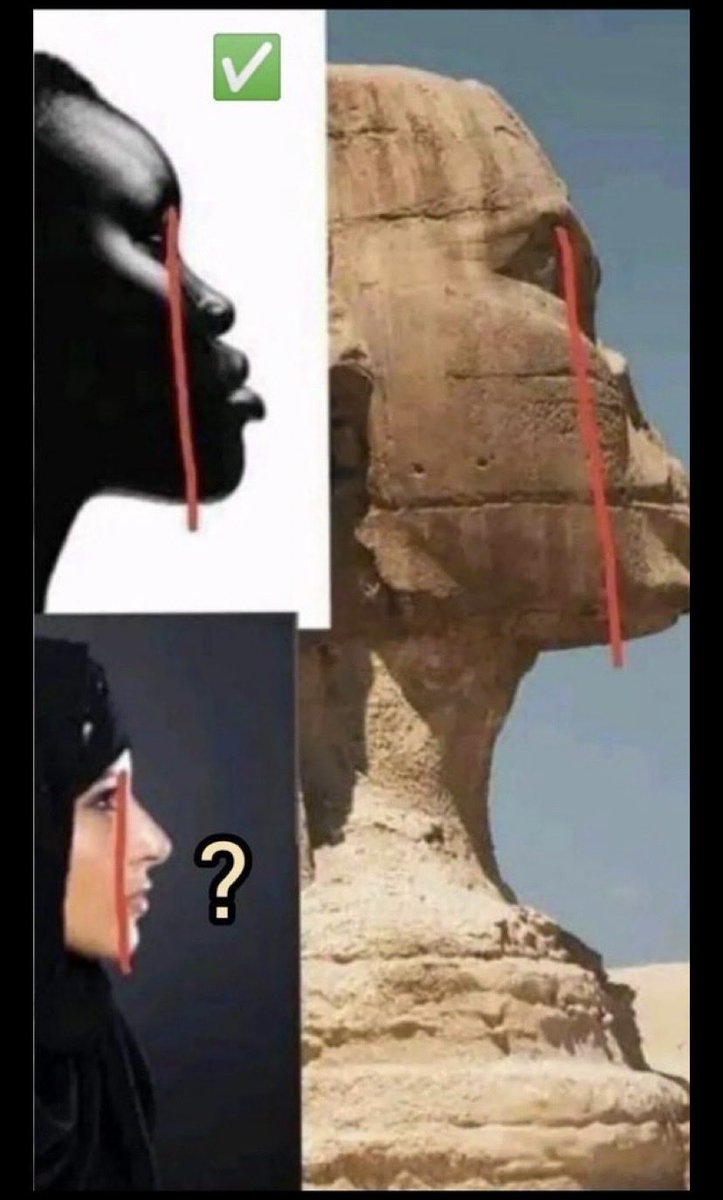 shmss3's tweet photo. @Dodymente @loolita_0 @iiox7r الفراعنة سود البشرة  أما المصريين إلان هم خليط من جميع الأمم اللي استعمرت مصر  
وكذالك الأمازيغ بالأصل سود دول شمال أفريقيا بسبب الهجرة من آسيا إلى اوربا اختلطت جيناتهم مع  القارتين  أفريقيا  كلهم سود هم  ابناء حام بن نوح  اسود البشر ة https://t.co/MvnPTCsqLa