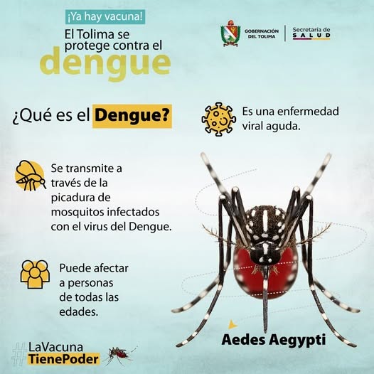 Inenciblescol's tweet photo. Prevenir el dengue es un acto de cuidado por nuestra comunidad.
Desde la Secretaría de Salud del Tolima invitamos a todos a unirnos por un Tolima libre de dengue.
#cuidarparavivir #PrevenciónDelDengue #saludqueprotege #inviciblescolombia https://t.co/2YdUGLDDIe