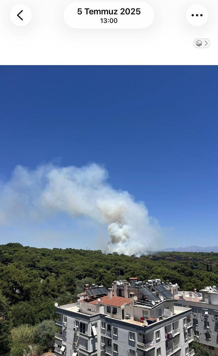 limonlutuz's tweet photo. geçen seneki antalya yangını da tam yeni yerleşim alanı yapmaya yönelik çıkmış ne tesadüf https://t.co/bcL03EKDzr