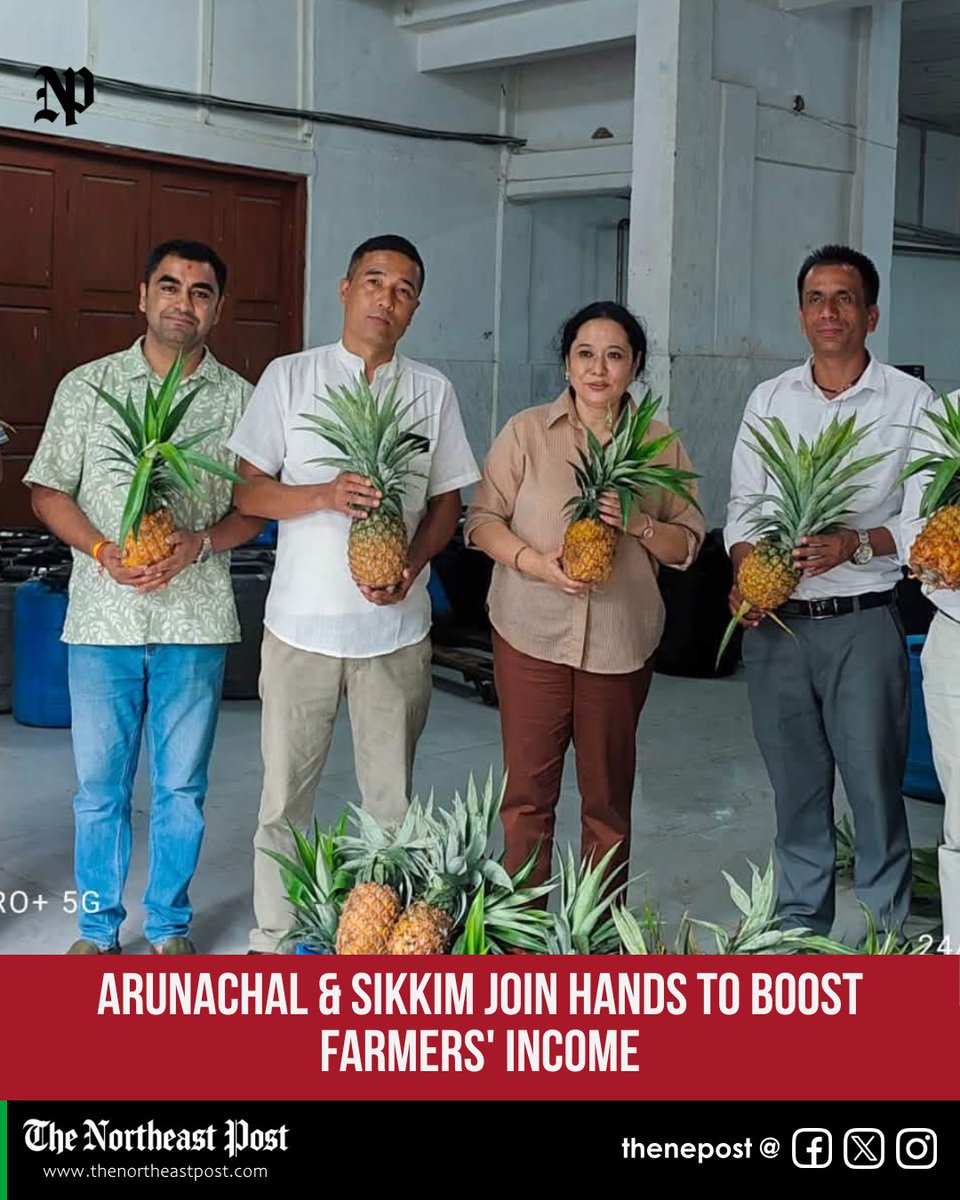 thenepost's tweet photo. #Sikkim and #ArunachalPradesh launched a partnership to send Mebo's premium pineapples and lemons to Sikkim for value addition and market expansion, boosting farmers' income.
#PemaKhandu #BrotherSisterConstituency #Mebo #Agriculture #Farmers #Pineapple #Lemon #AgriTourism https://t.co/GGyeChfTuZ