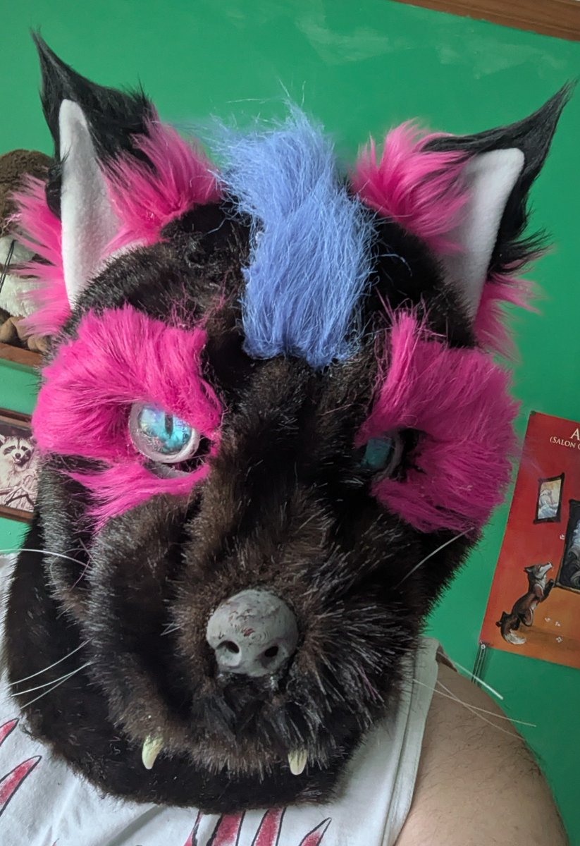 Meerfox's tweet photo. Happy fursuit Friday, hope everyone has a great one. https://t.co/VcnVT9iGlw