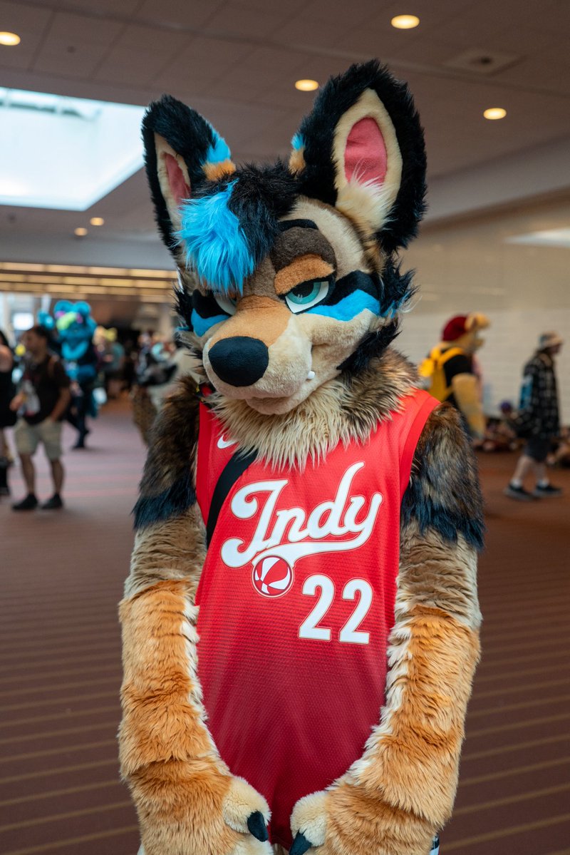 dexter_dior's tweet photo. Anyone wanna cuddle and watch the @WNBA All-Star Game? 💙 #FursuitFriday

📸: @ItsRokko https://t.co/11iUx0nhxX