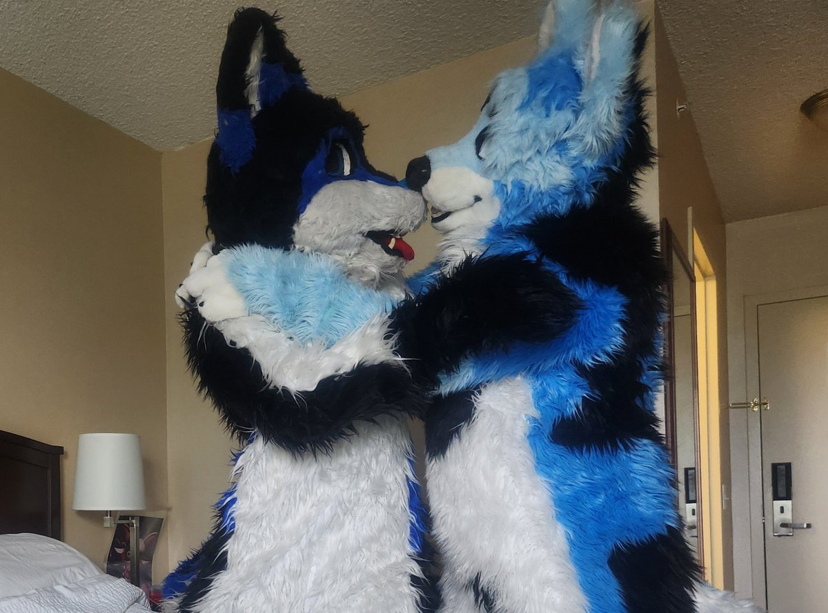 AuroraWusky69's tweet photo. Just two wolfs madly in love ❤️ 😍 💖 

Hope you have a Happy cute fluffy #fursuitFriday https://t.co/MAecrvJK1P